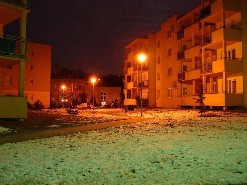 DSC05358