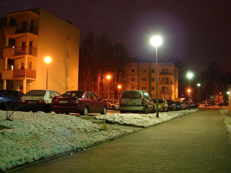 DSC05359