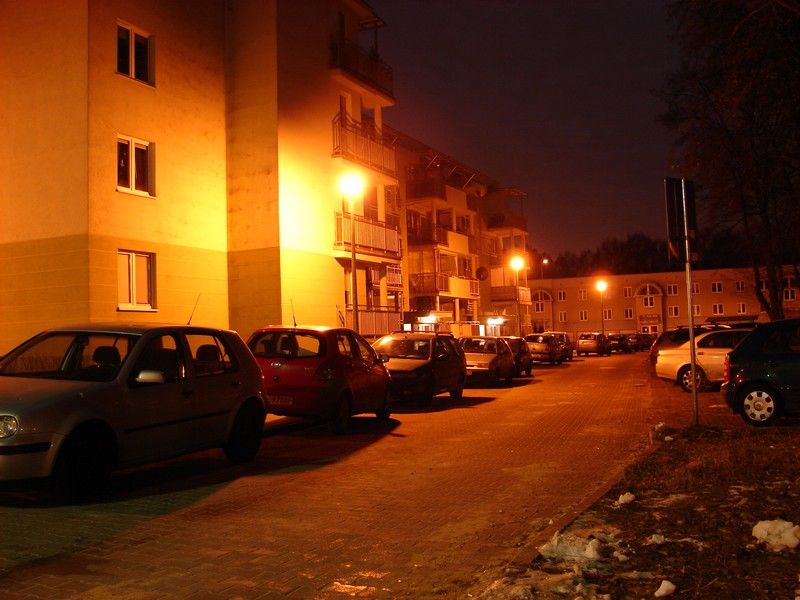 DSC05368