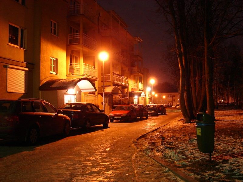 DSC05370