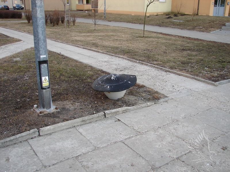 DSC06931