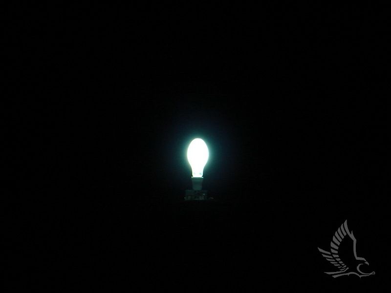 DSC07018