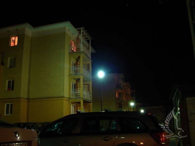 DSC07020