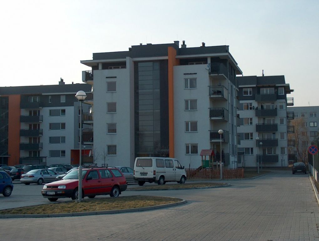 HPIM6031