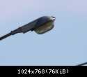 OURW250-1