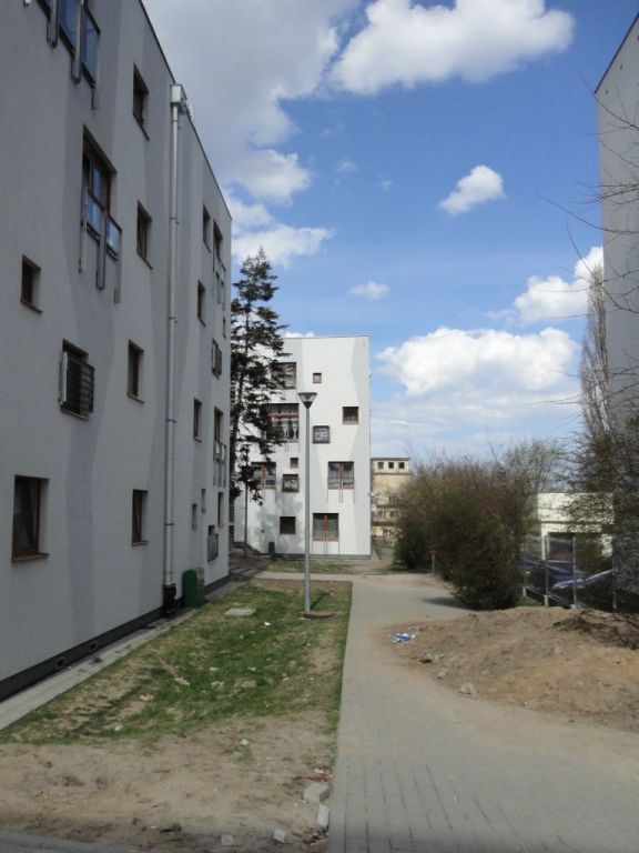 Disano Clima 6