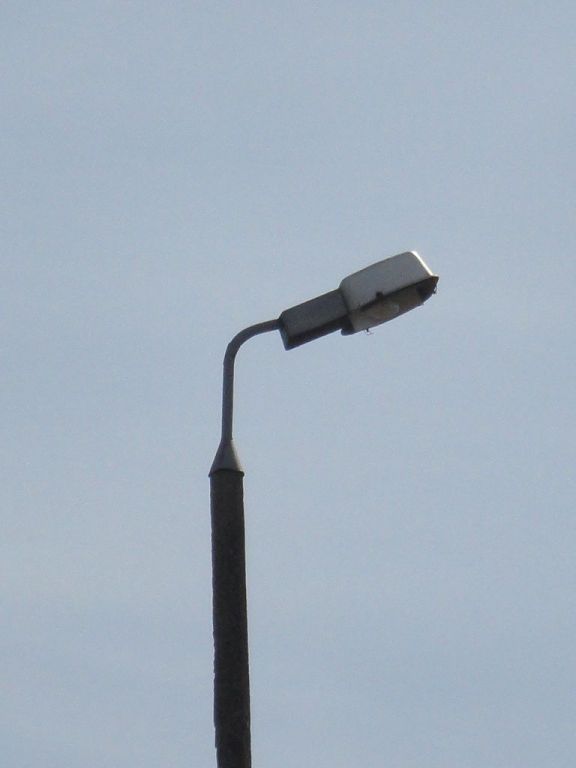 PKP 35