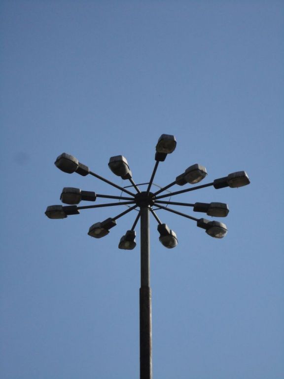 kwiaty 110