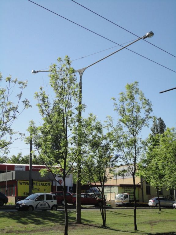 Trójmiasto seria 313