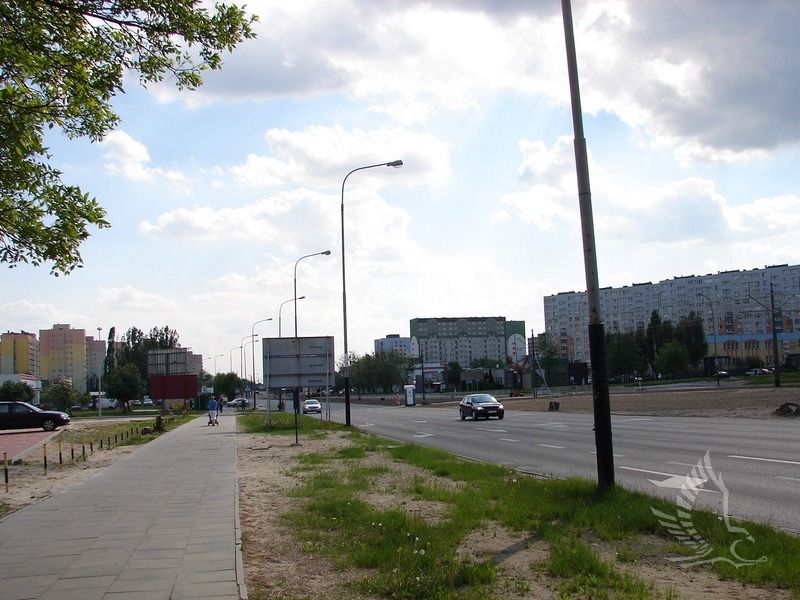 DSC00950