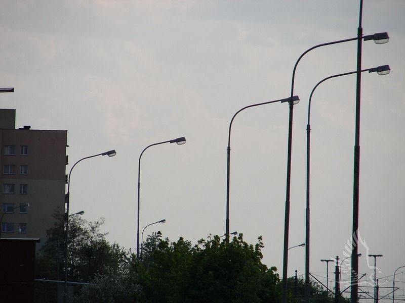 DSC00951