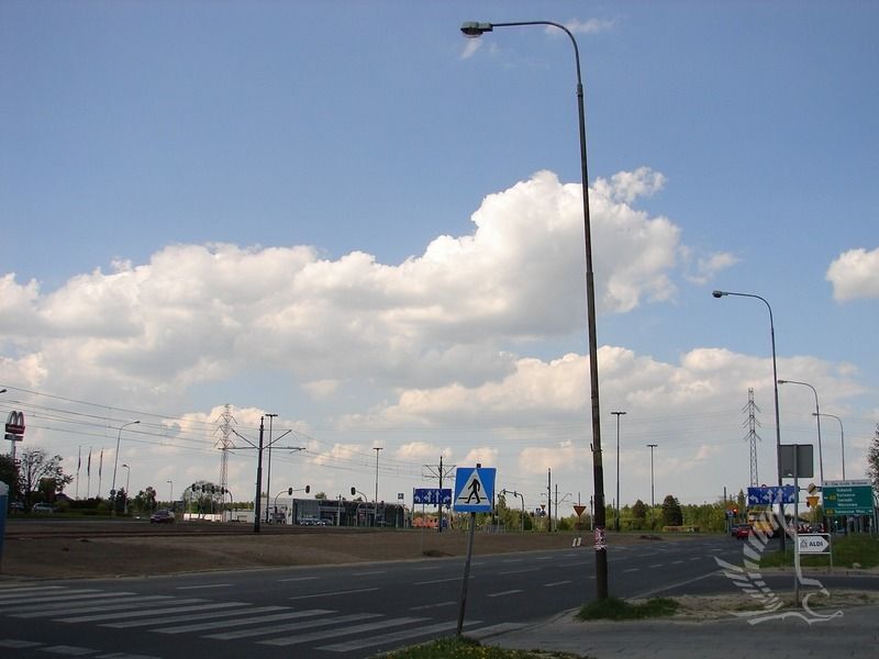 DSC00959