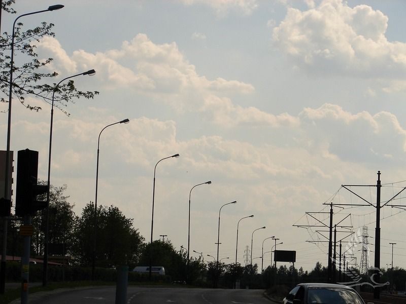 DSC00970