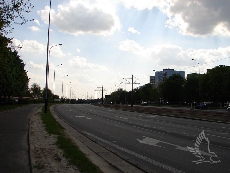 DSC00972