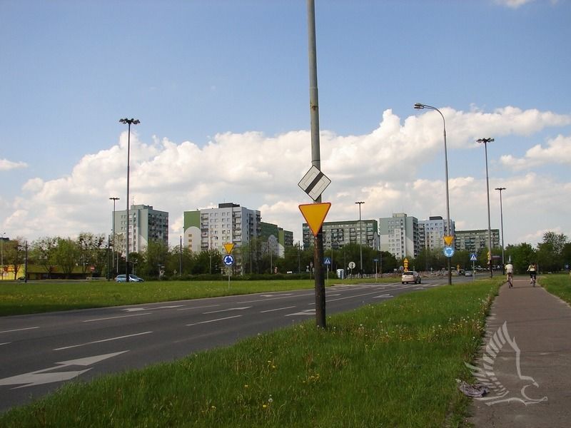 DSC01003