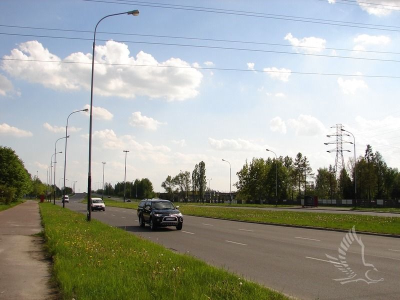 DSC01008