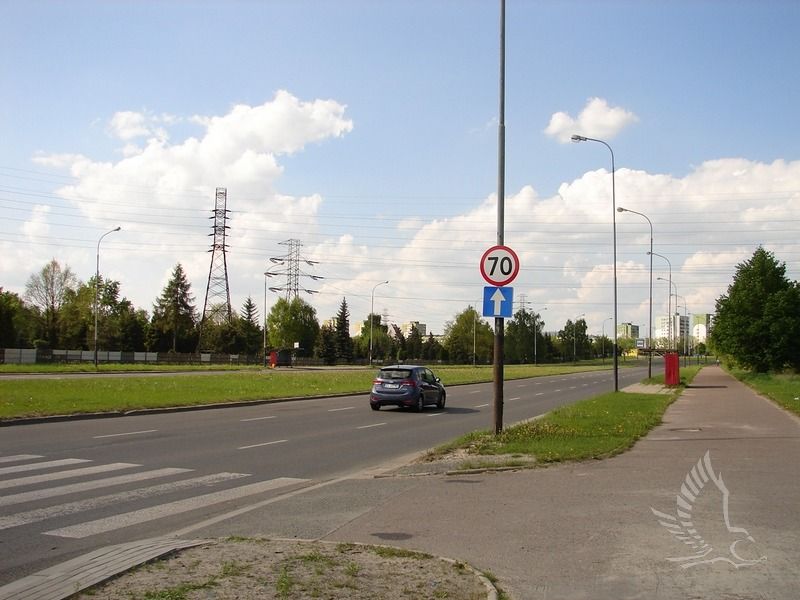 DSC01017