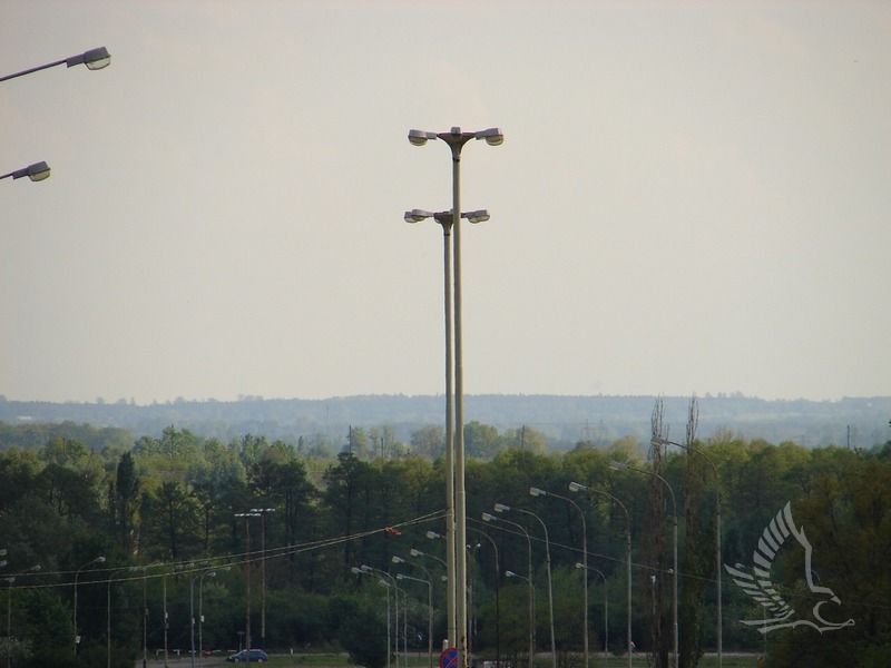 DSC01082