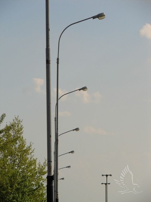 DSC01084