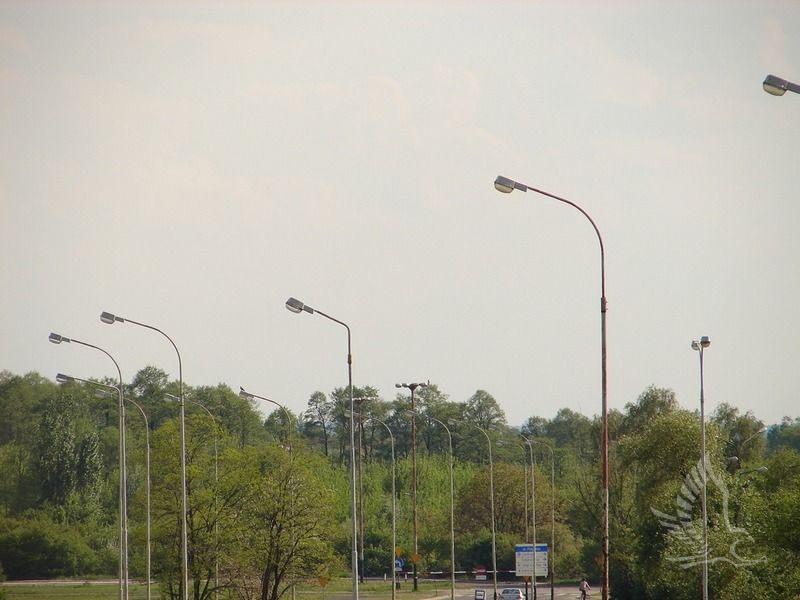 DSC01098