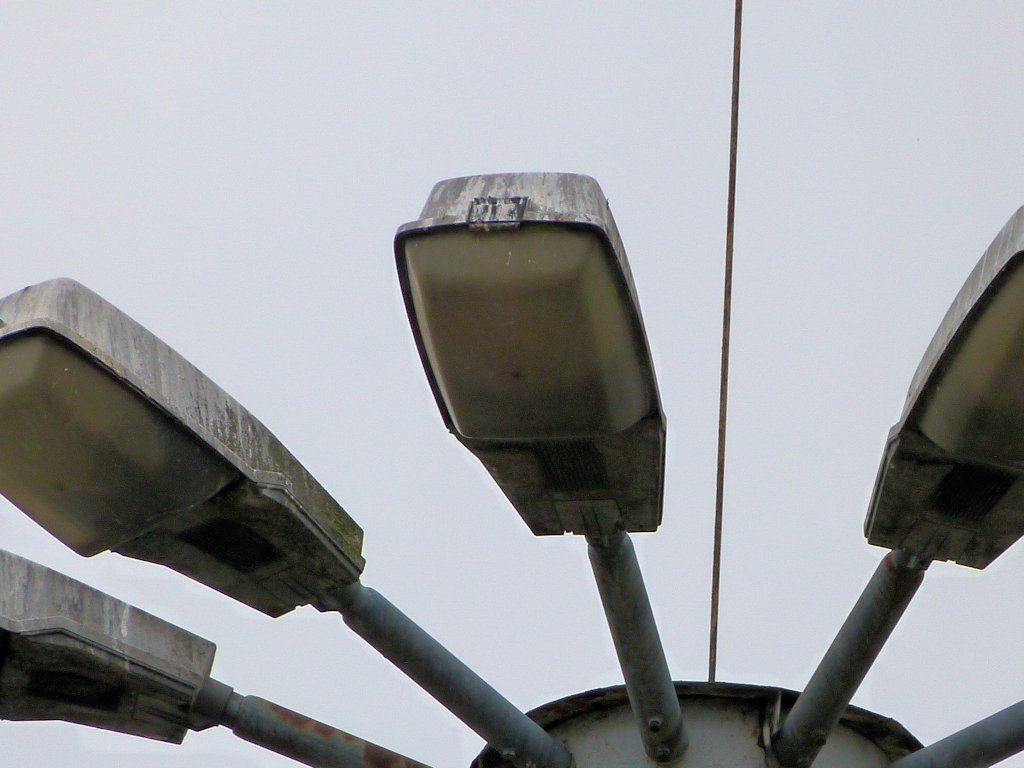 SGS204