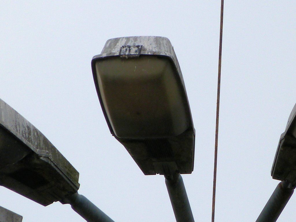 SGS204