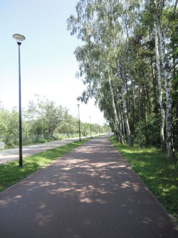 ścieżka nadmorska 11