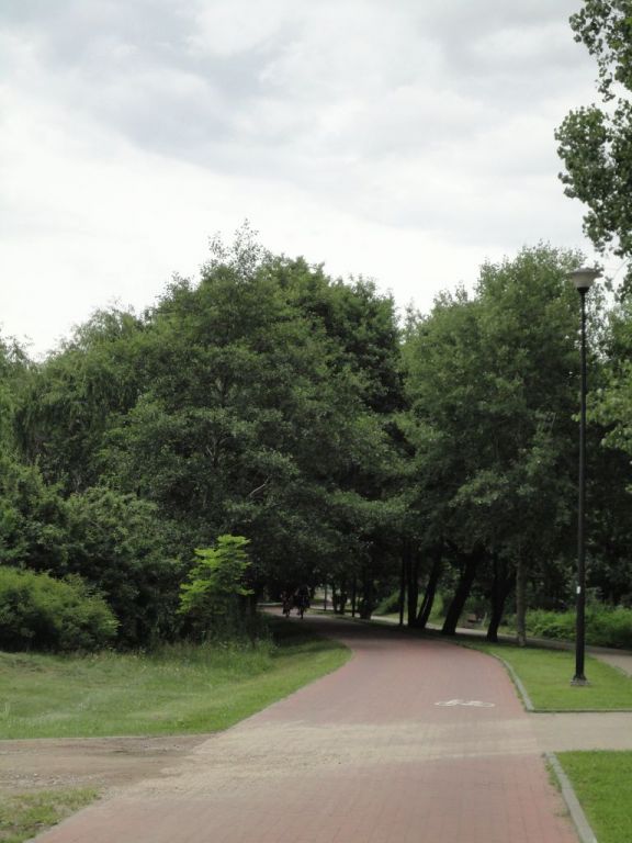 ścieżka nadmorska 16