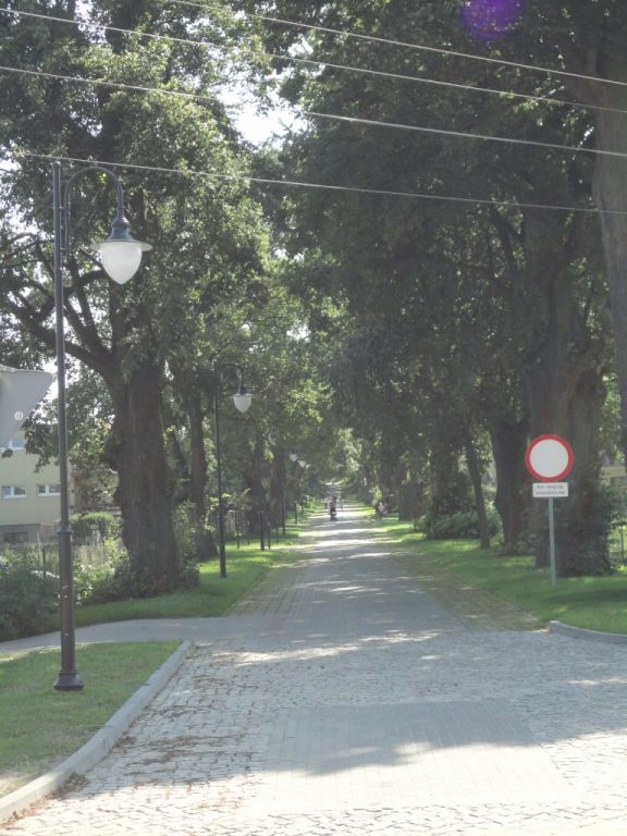 szyszki 9