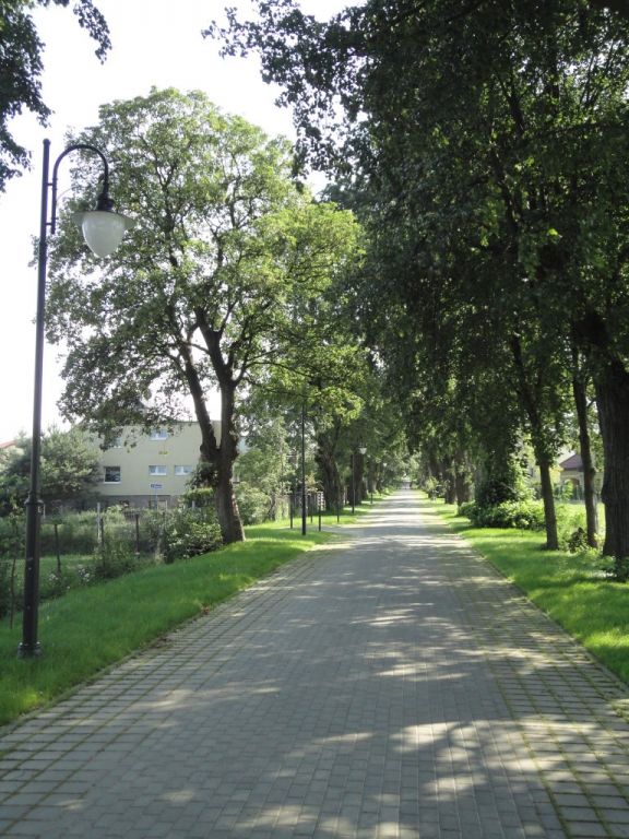 szyszki 10