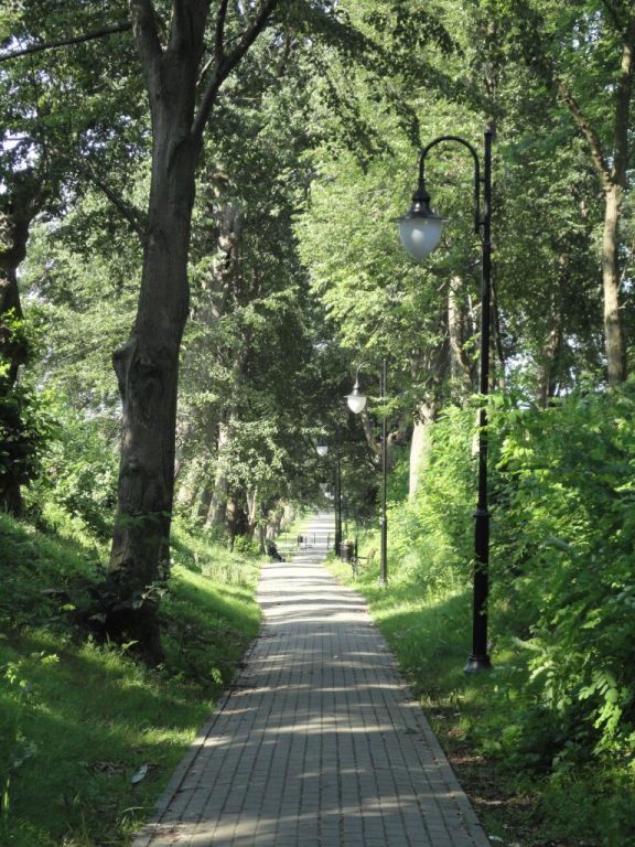 szyszki 12