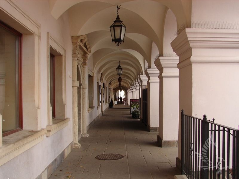 DSC08819