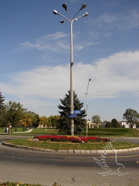 DSC08987