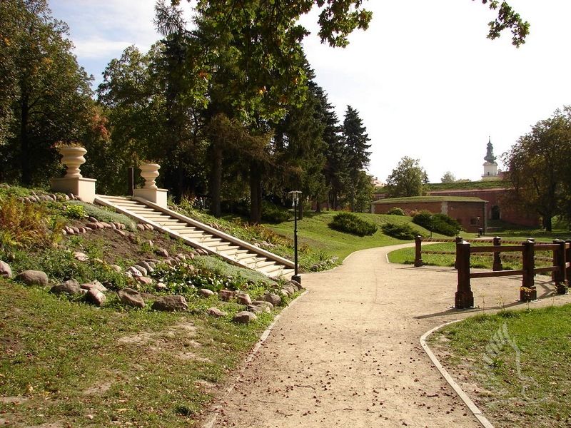 DSC09049