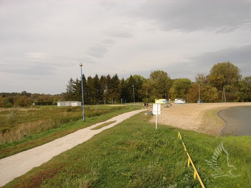 DSC09204
